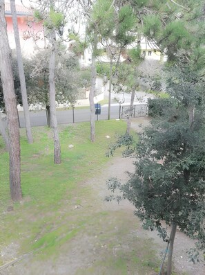 Parco della struttura