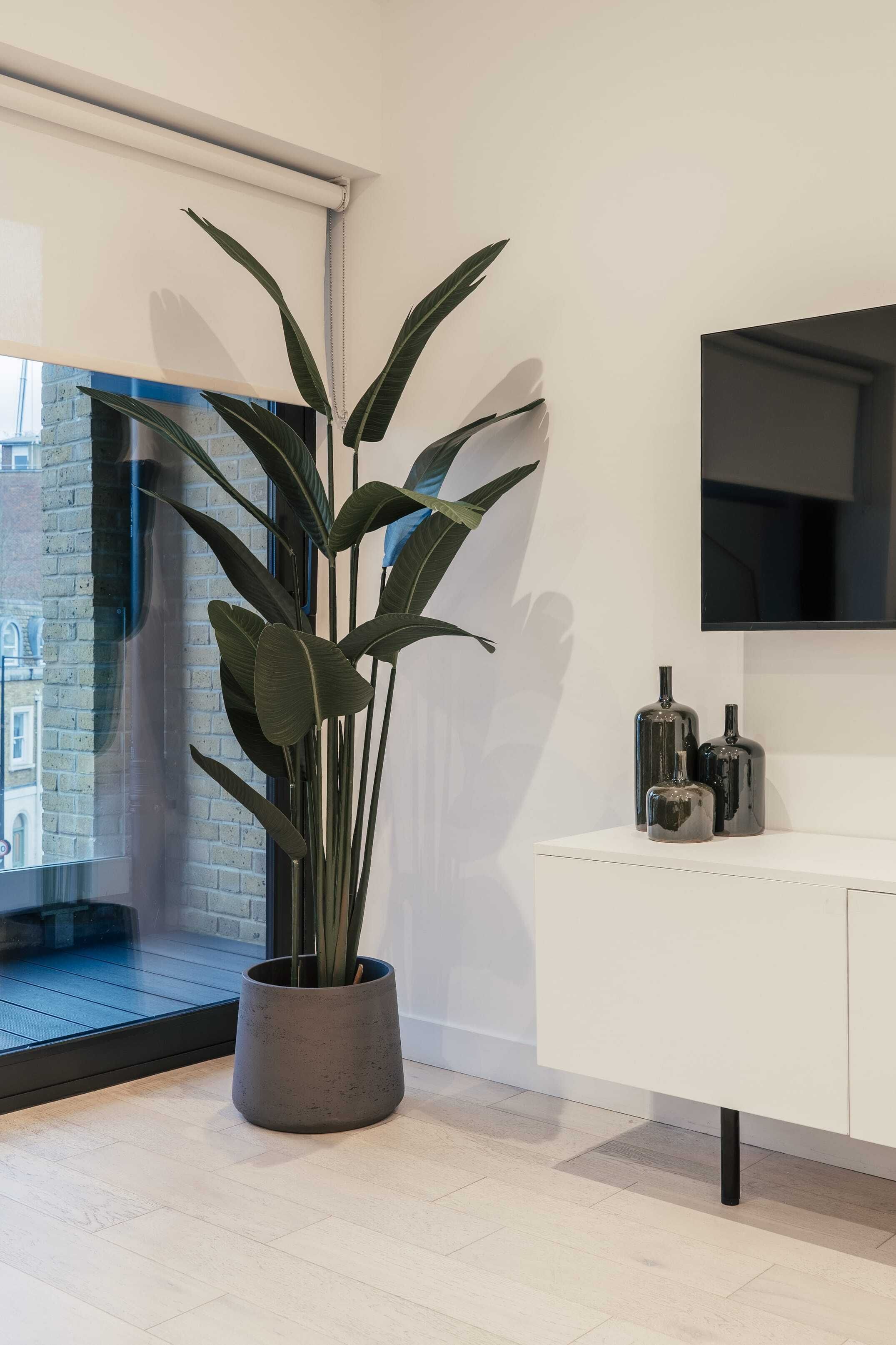 A modern room with a large potted plant, a white cabinet, and a flat-screen TV mounted on the wall.
