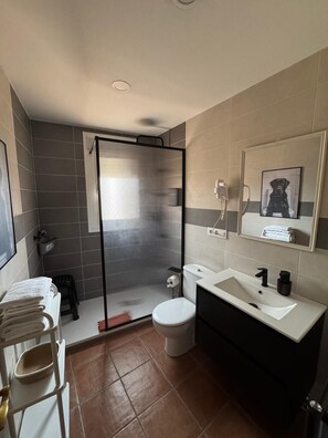 Standard Apartment | Bathroom - APARTAMENTOS RURALES EL SOLITARIO (Banos de Montemayor)
