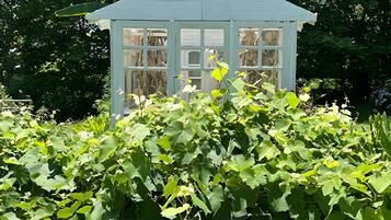 Detalle del exterior