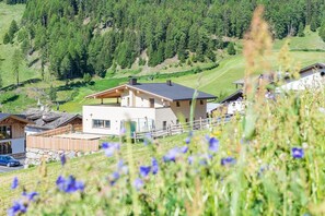 Una casa moderna con techo inclinado, rodeada por una valla de madera, ubicada en un valle verde con un promontorio boscoso al fondo.