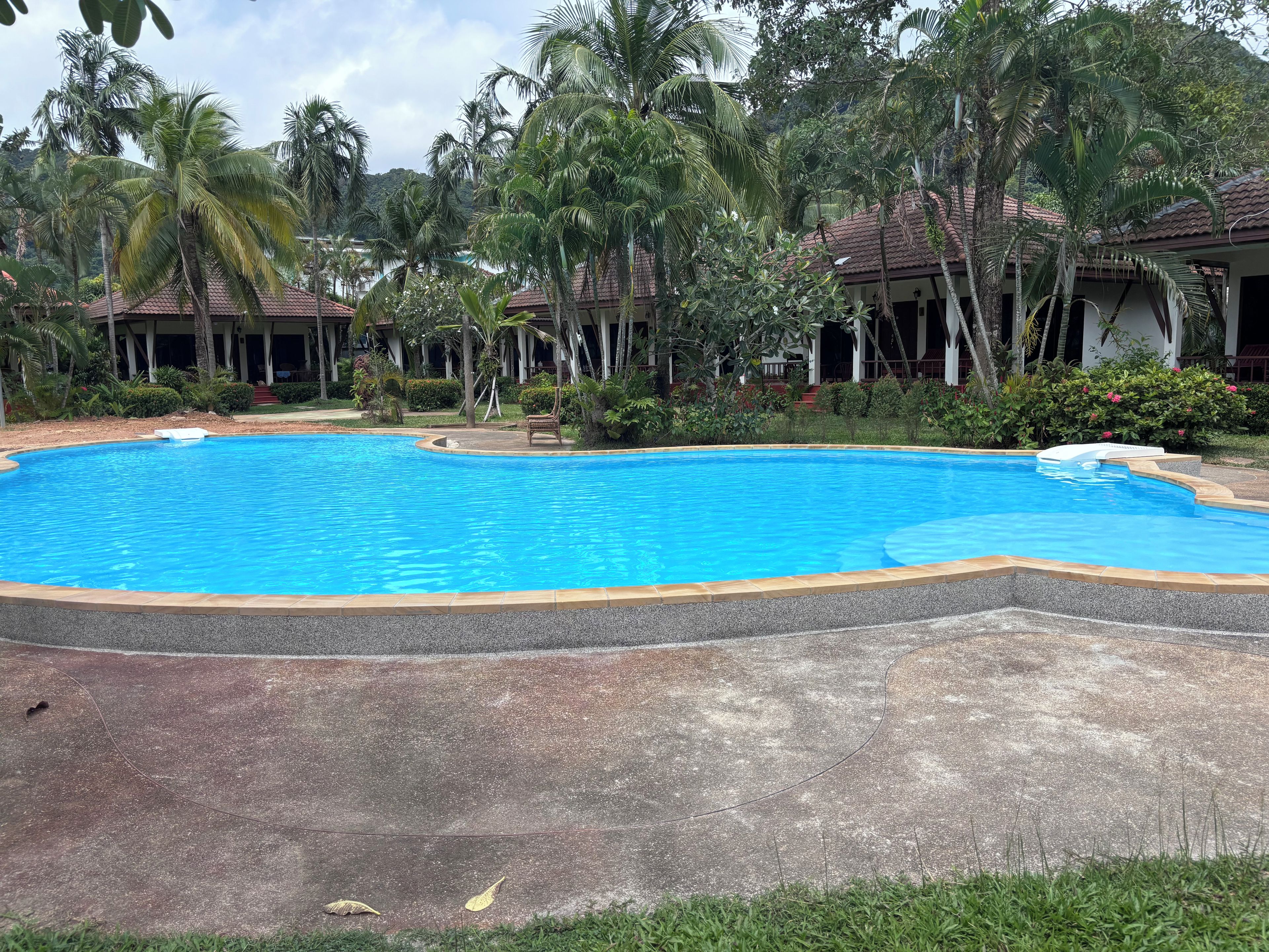 A swimming pool surrounded by palm trees and a building with a tiled roof.