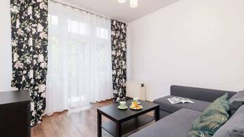 Fernseher, Arbeitsbereiche