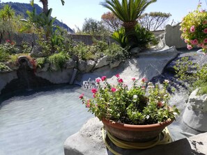 Superior Apartment, Garden View | Property grounds - villa al mare famiglia calise (Forio)