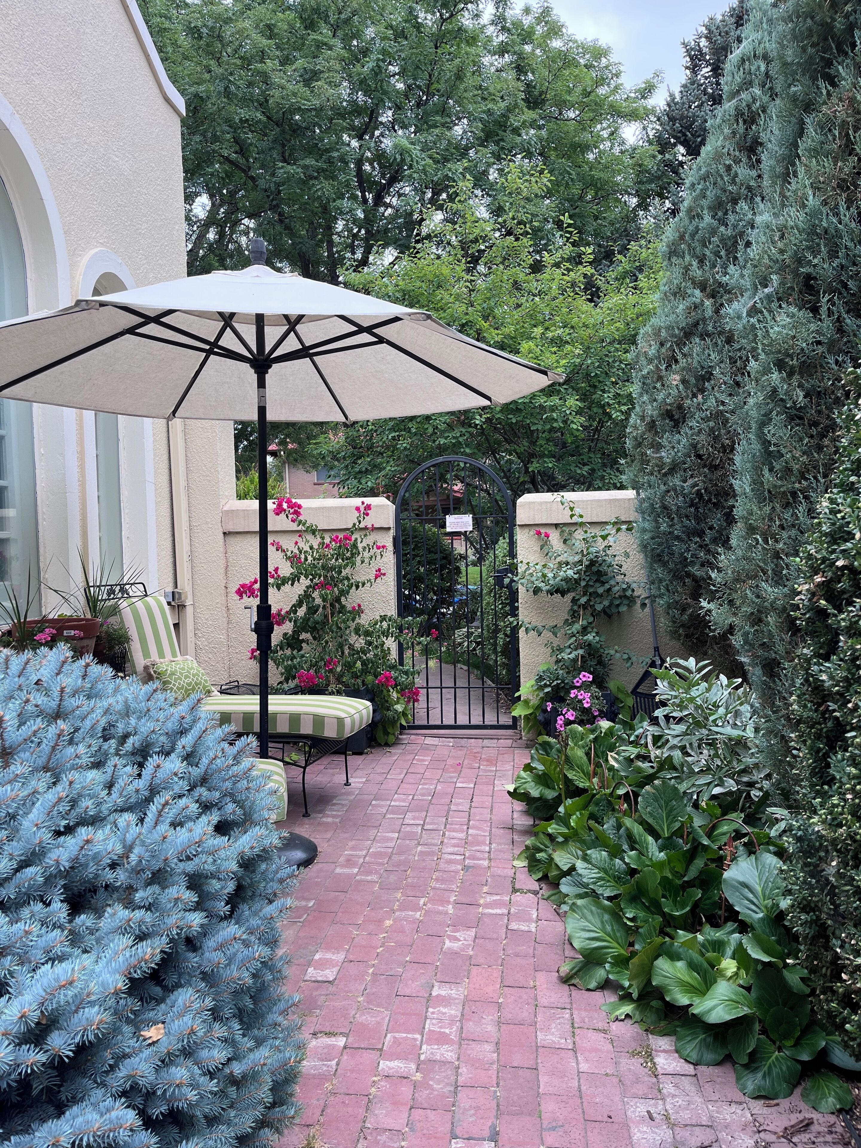 A brick pathway leading to a gated entrance, surrounded by lush greenery and a large umbrella providing shade.
