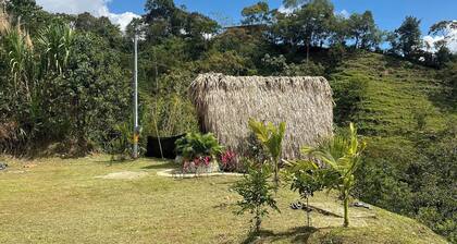 Room-green View Glamping Cabin With Unli