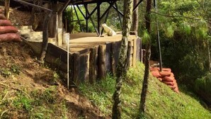 Una casa moderna construida sobre pilotes en un área boscosa.