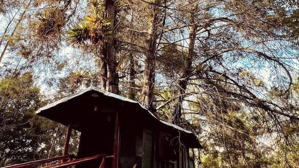 Uklassifisert bilde, 1 av 31, knapp