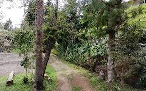 Habitación, 1 habitación, fumadores, vistas al jardín | Jardines del alojamiento