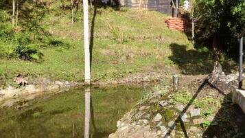 A pond with a stone structure in the foreground, surrounded by greenery and trees.