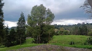 A rural landscape with a prominent tree, a stone wall, and a grassy field. - Room-tranquil Holiday Park Retreat in Gu (Guarne)