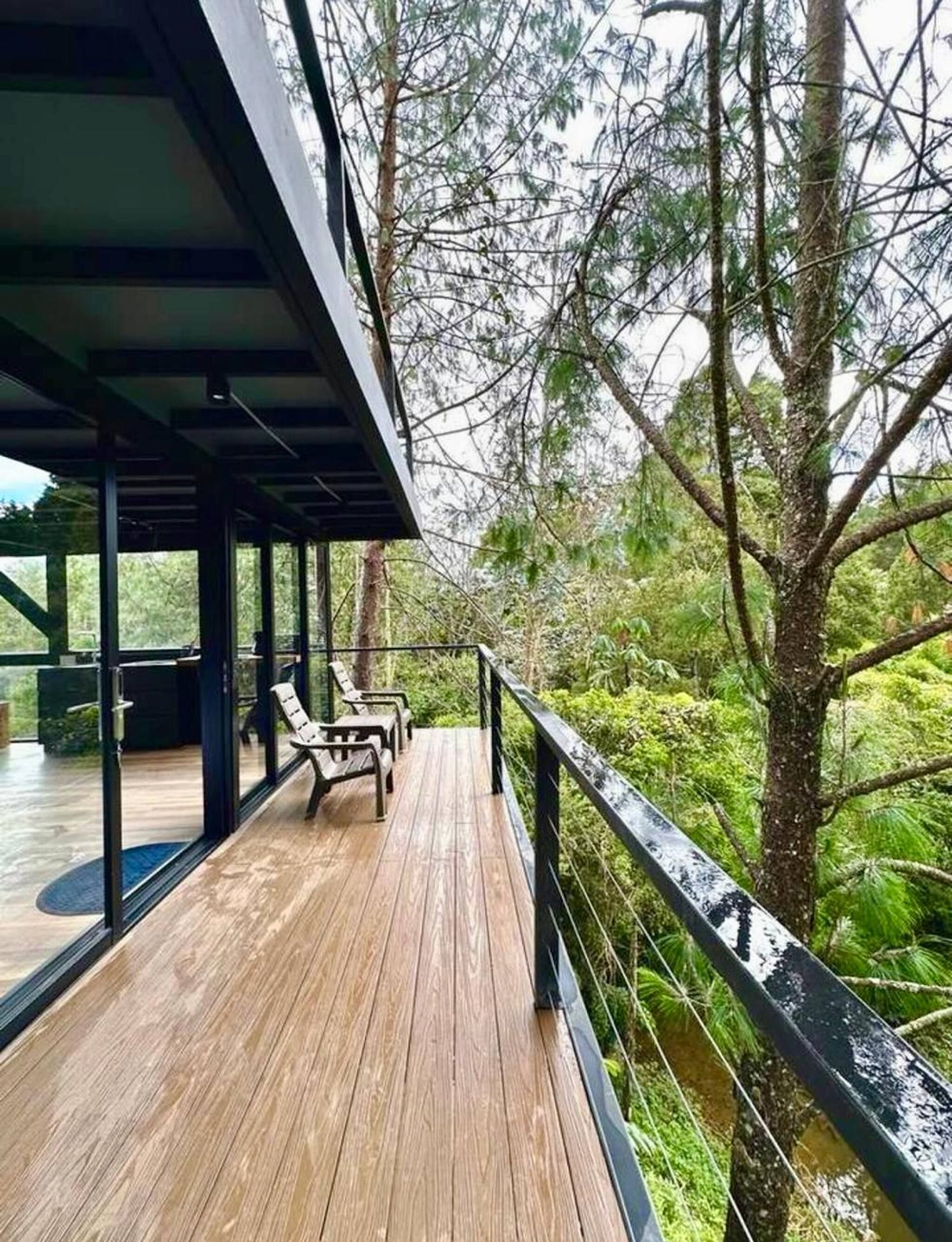 Terraza de madera con sillas, rodeada de árboles y barandilla de vidrio.