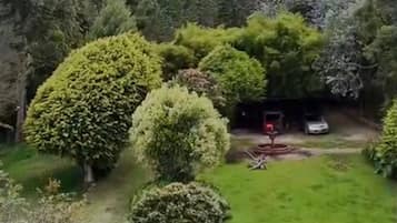 Un jardin avec différents arbres et un petit abri de jardin.