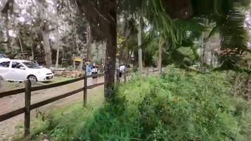 Entorno natural con una valla de madera, un coche blanco y una persona caminando.