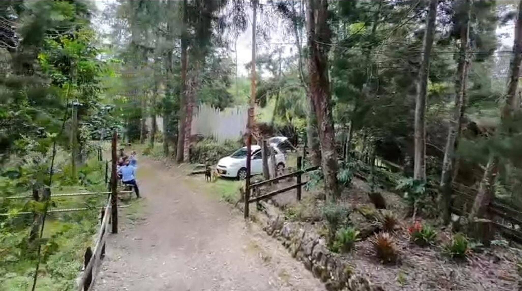 A forested area with a dirt path, a white car parked by the path, and a wooden fence.