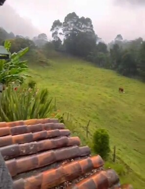 小屋, 1 间卧室, 吸烟房, 阳台 | 外观