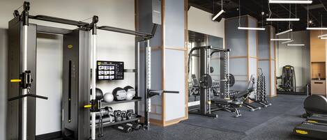 A modern gym with various exercise equipment, including a squat rack, weight plates, and a bench press.