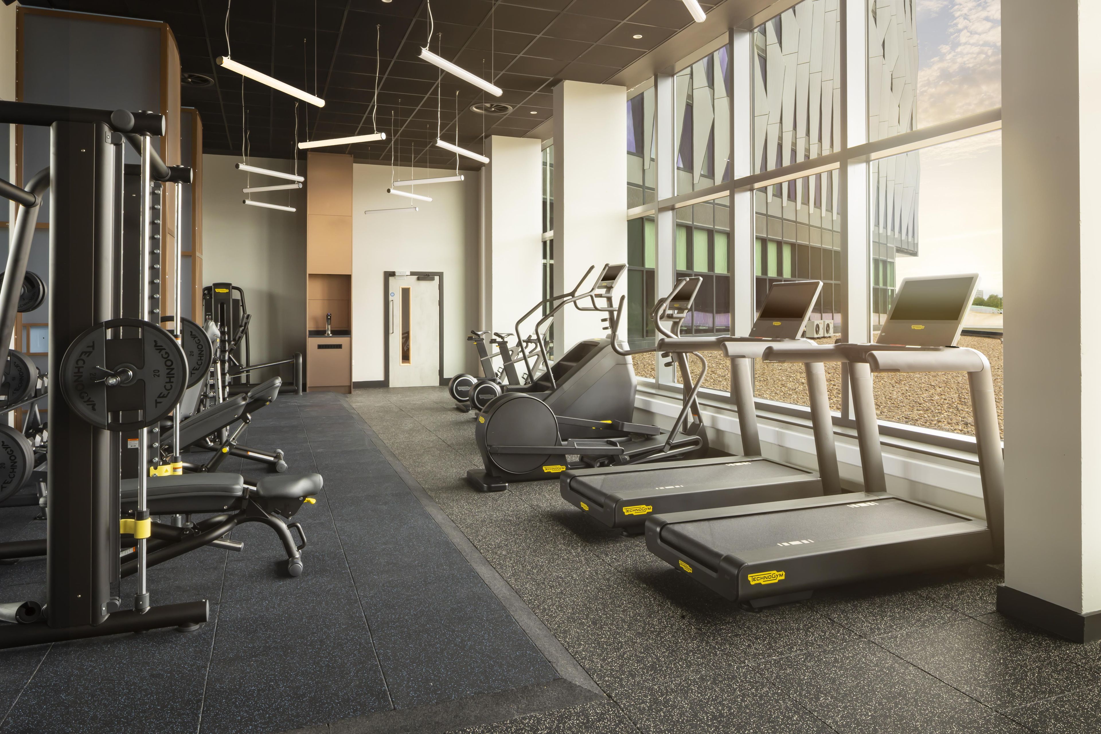 A modern gym with cardio equipment, weight machines, and a large window providing natural light.