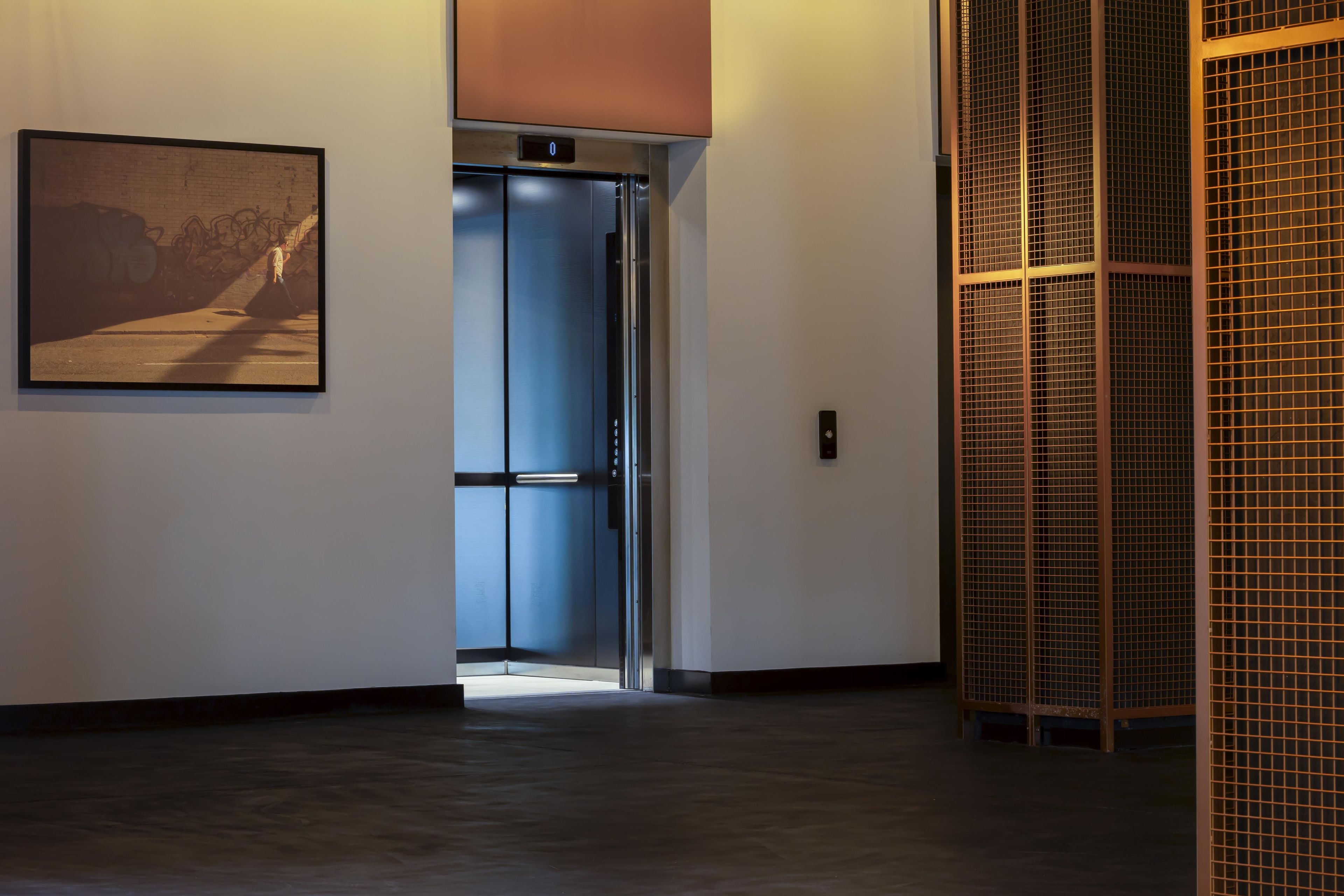 An elevator in a hallway with a framed picture on the wall.