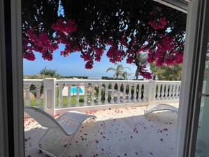 Terrace/patio - Beachfront apartment with communal pool and parking in San Pedro de Alcántara (San Pedro Alcántara)