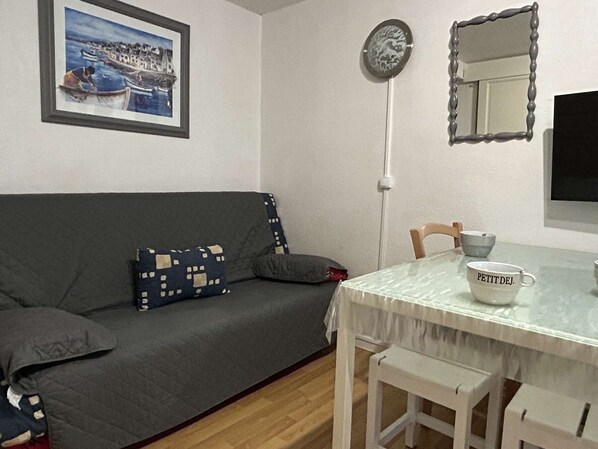TV - Charming house with air conditioning in Gruissan (Gruissan)