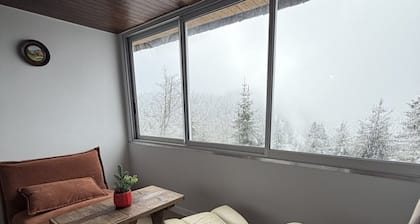 Beautiful Renovated T3 Apartment, 2 Bedrooms, Ski 200m Away
