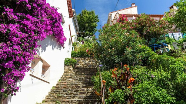 Un escalier en pierre menant au sommet d’une colline, entouré d’une végétation luxuriante et de fleurs aux couleurs vives.