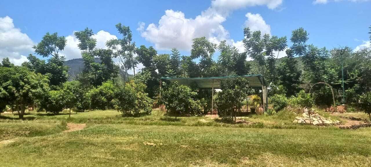 Un espacio al aire libre con césped, árboles y una estructura de madera.