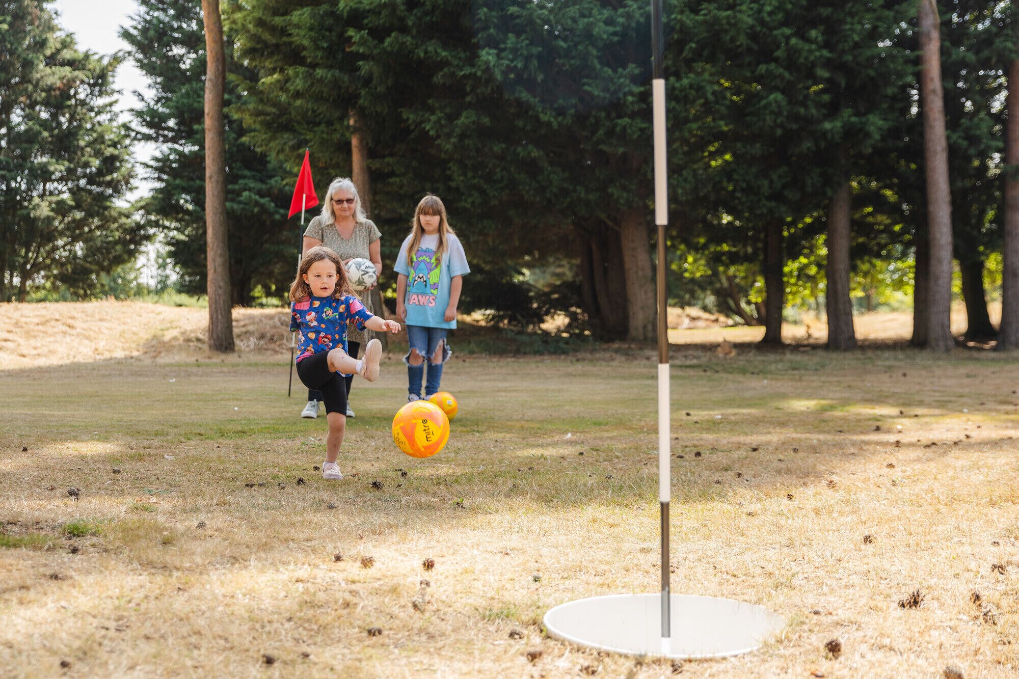 A grassy field with a flagpole and a flag.