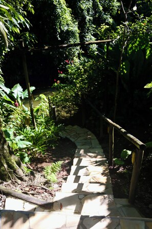 Un chemin de pierres qui traverse un jardin où poussent différentes espèces de plantes, le tout bordé d’une clôture en bois.
