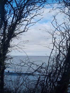 A view of a beach with bare trees in the foreground and a calm sea in the background. - Apartment 'Fewo Albrecht' with Balcony (Nienhagen)