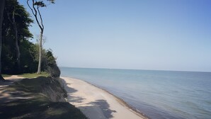 A beach with clear water, trees, and a path leading to the shore.