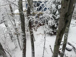 Property grounds - Minutes to Ski Lifts, Cozy Sunset Snow Cabin! (Beech Mountain)