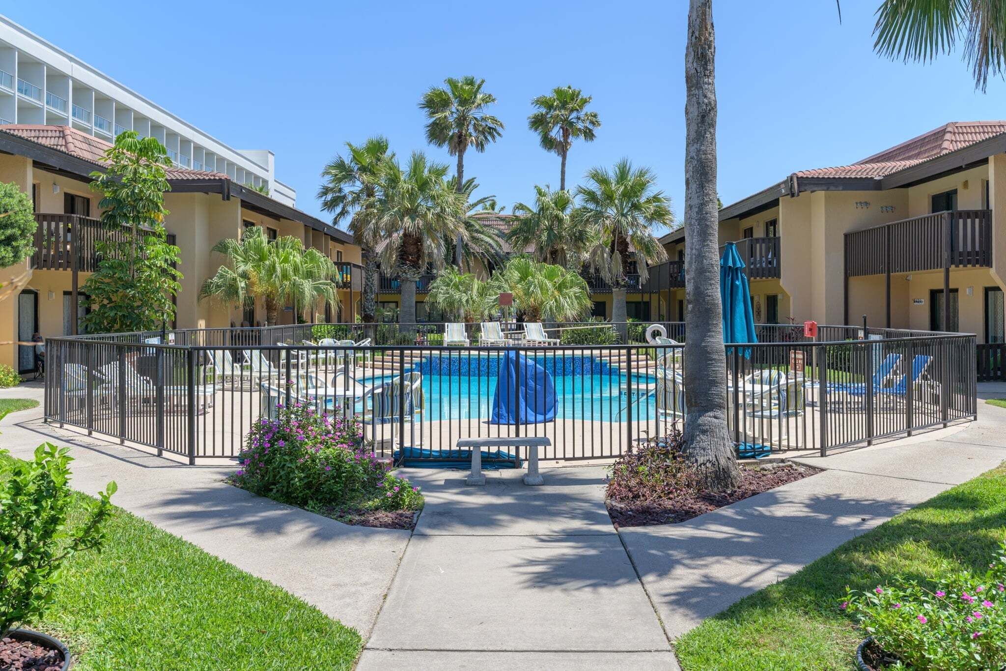 A hotel courtyard with a swimming pool, palm trees, and lounge chairs.