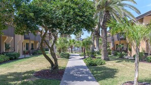A pathway flanked by palm trees and a building with balconies. - Tiki 157- Standard 1br Condo With Large Balcony 1 Bedroom Condo (South Padre Island)