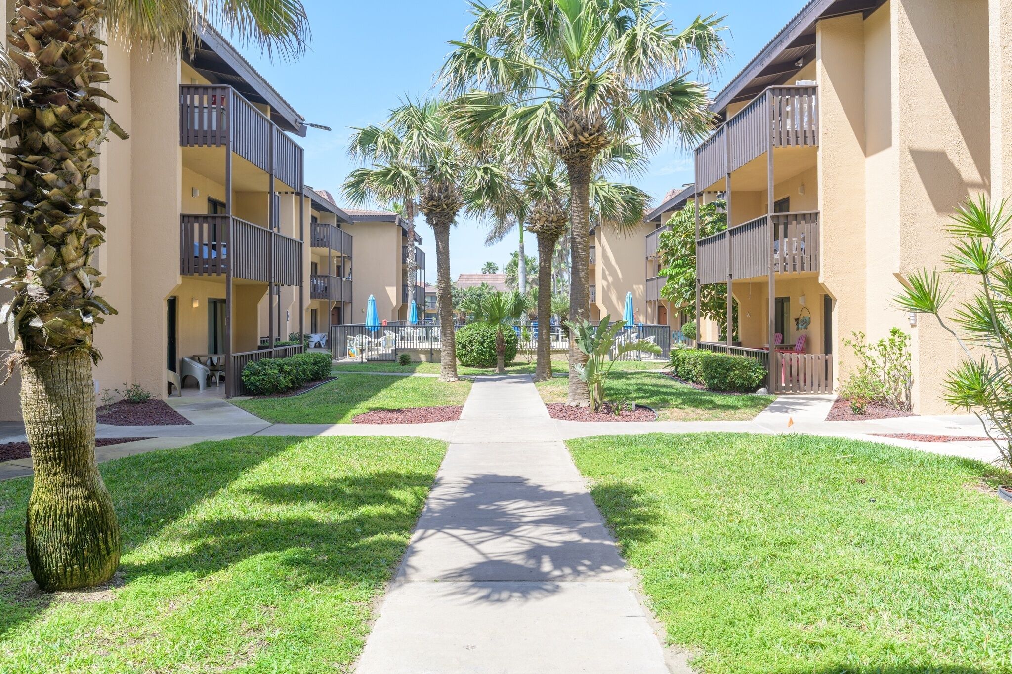 A courtyard with a central pathway flanked by palm trees and a building with balconies.