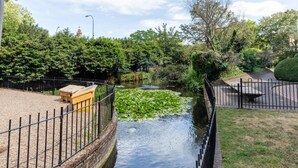 A canal with water lilies, surrounded by greenery and a fence. - Stunning Studio Flat Minutes From Lewisham Station With View (London)