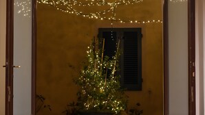 Une porte cintrée en bois, un pot de fleurs et des guirlandes lumineuses.