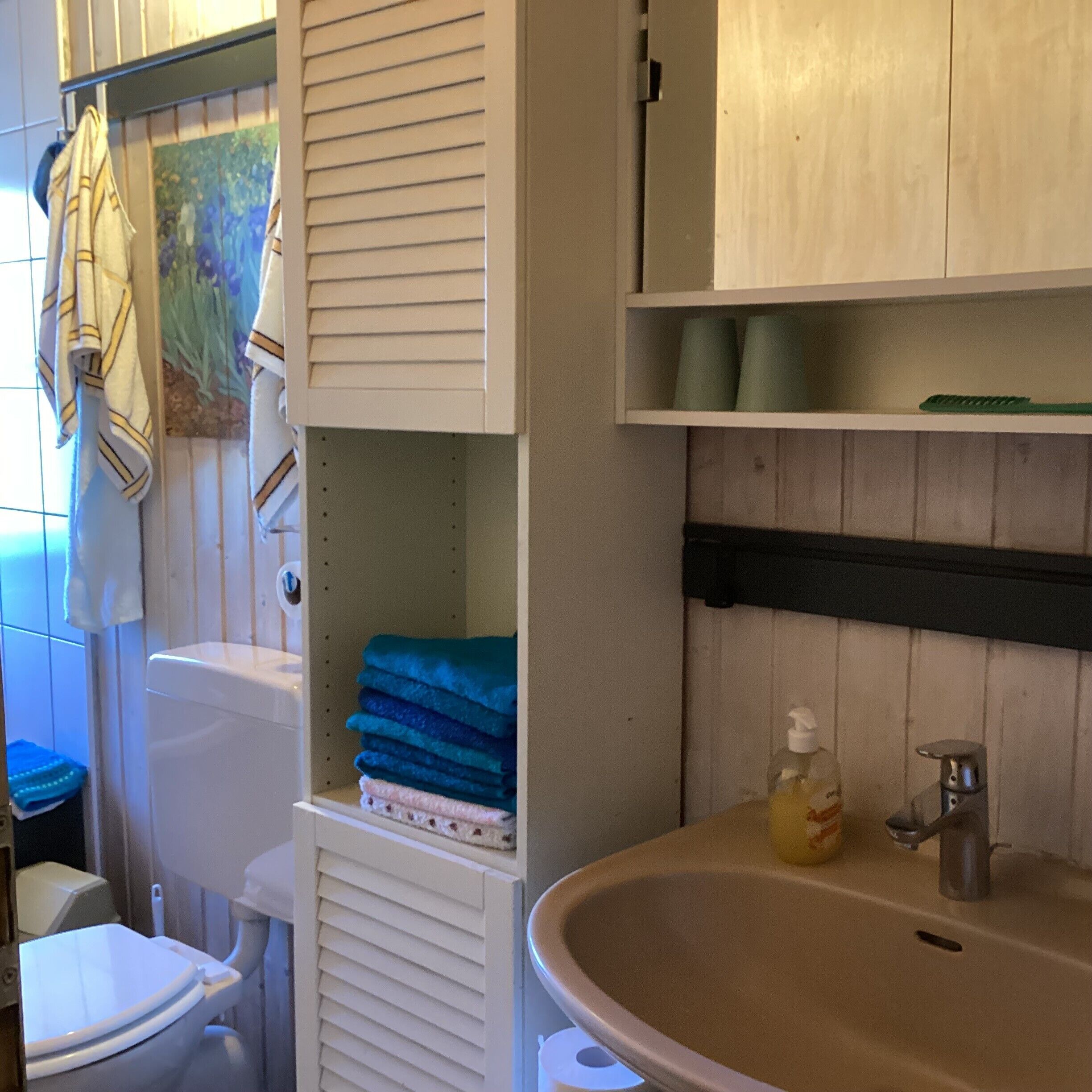 Ducha, secador de pelo, toallas