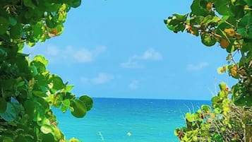On the beach