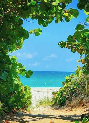 A beach path leading to the ocean, framed by lush green foliage. - Bella Vista Jupiter Carlin Park across from beach Htd Pool/Pickle Ball (Jupiter)