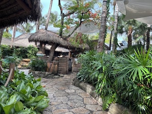 Camino en un jardín tropical que lleva a una estructura de techo de paja, con un letrero que indica un restaurante.