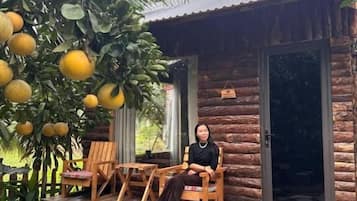 Meja kerja, Wi-Fi gratis, dan seprai linen