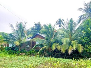 Luxury Double Room, Courtyard View | Exterior - Wood Haven Homestay (Ninh Binh)