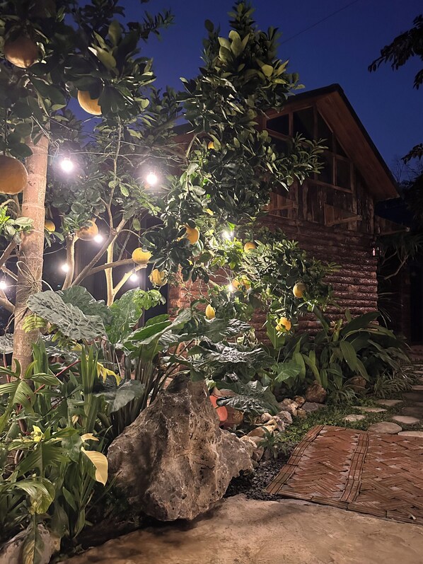 Luxury Double Room, Courtyard View | Courtyard view - Wood Haven Homestay (Ninh Binh)