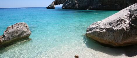Plage à proximité, chaises longues, serviettes de plage