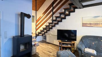 TV, fireplace, DVD player