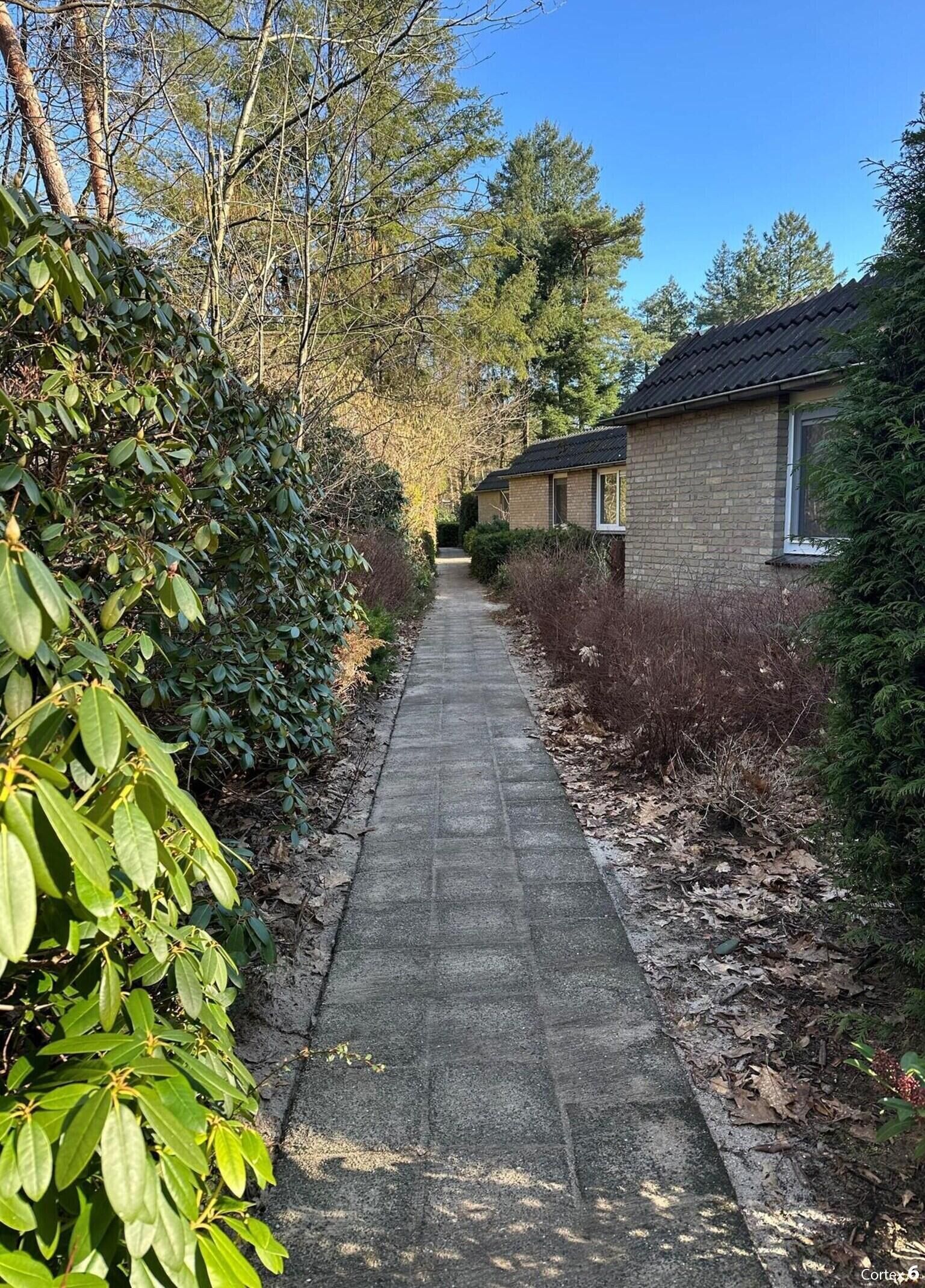 A narrow paved pathway flanked by dense foliage and a brick building with a sloped roof.