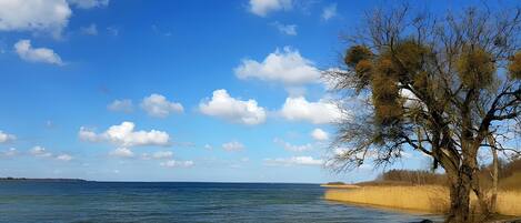 Playa en los alrededores