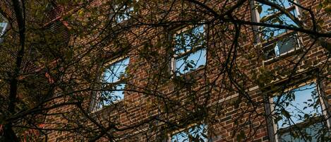 Detalle del exterior